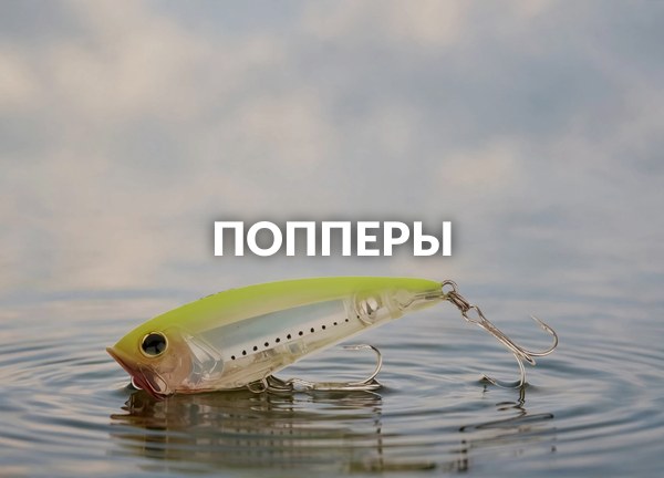 Попперы