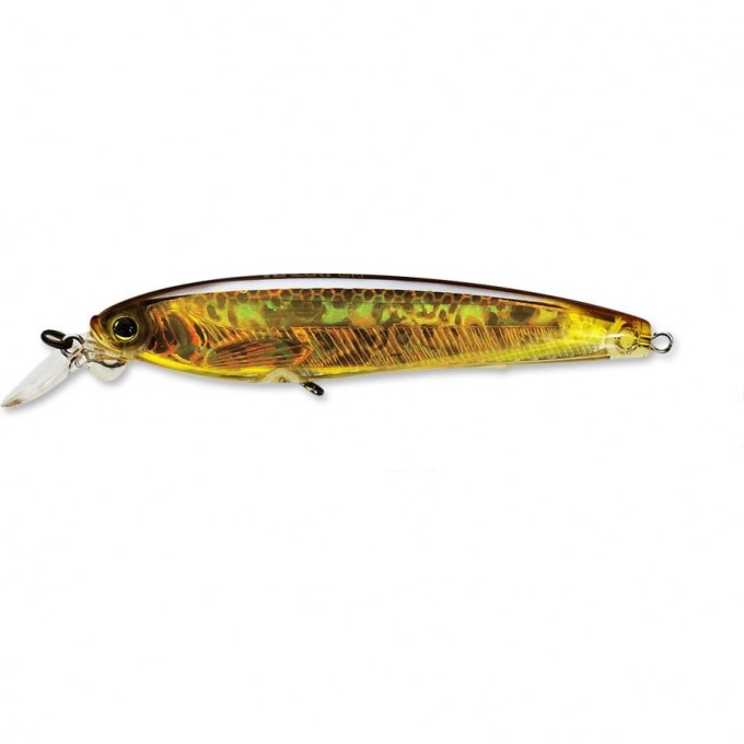 Воблер YO-ZURI 3DS MINNOW F1157 100SP HGBL F1157-HGBL Воблер YO-ZURI 3DS MINNOW F1157 100SP HGBL F1157-HGBL